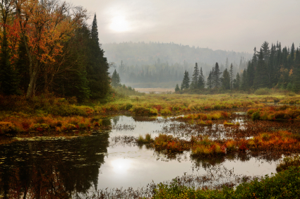 Water Supply and Wetlands